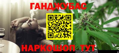 mdpv Гатчина