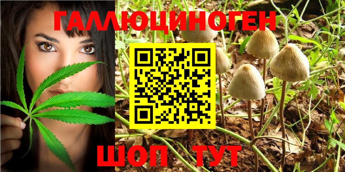 Нальчик  Псилоцибиновые грибы Cubensis  Галлюциногенные грибы Psilocybe  Вход с VPN 