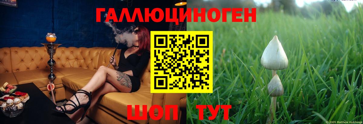 Галлюциногенные грибы MAGIC MUSHROOMS Нальчик